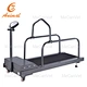 indoor dog treadmill